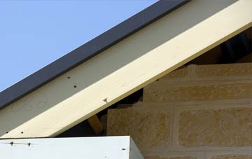 Fenderbridge fascia repairs